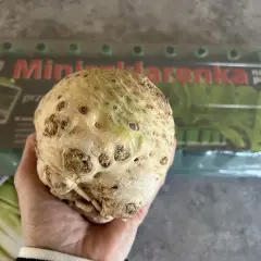 Dłoń trzyma bulwę selera na tle opakowania z nasionami selera.