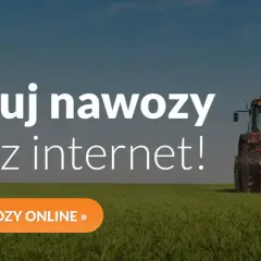 Kiedy stosować nawozy fosforowe i potasowe, aby uniknąć błędów w uprawach
