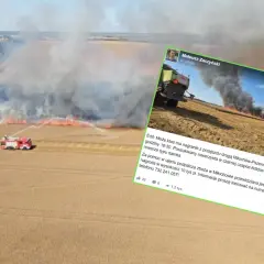 Pożar zboża na pniu – co to znaczy i jak uniknąć tragedii?