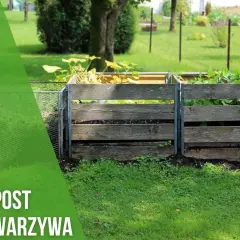 Kiedy kompost pod warzywa? Odkryj najlepsze terminy i korzyści