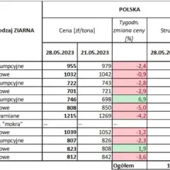 Ile kosztuje metr zboża? Zrozumienie cen i ich zmienności w Polsce