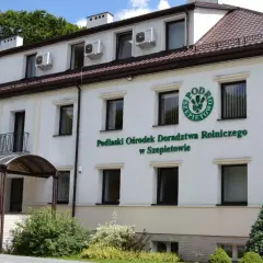 Peluszka ile siać na hektar – uniknij błędów w uprawie