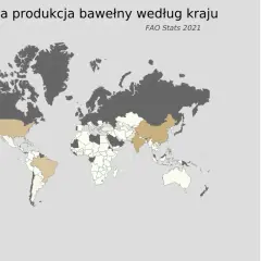 Gdzie uprawia się bawełnę? Odkryj najlepsze regiony i warunki uprawy