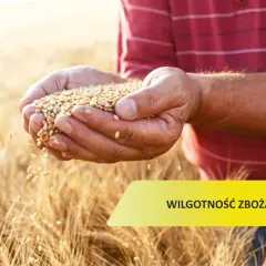 Jaka powinna być wilgotność zboża, aby uniknąć strat jakości?