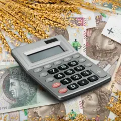 Ile wynosi dopłata do 1 ha zboża i jak uniknąć strat finansowych