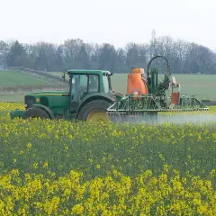 Czy można mieszać środki grzybobójcze z nawozami bez ryzyka?
