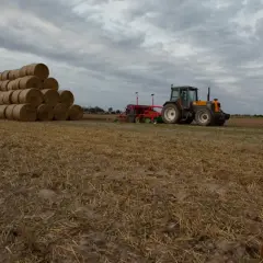 Sąsiek ze słomy piętrzy się na polu, obok pracuje traktor z siewnikiem.