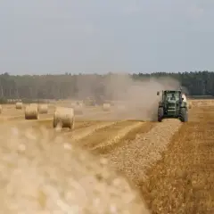 Ile kosztuje kostka siana? Sprawdź ceny i porównaj oferty w Polsce