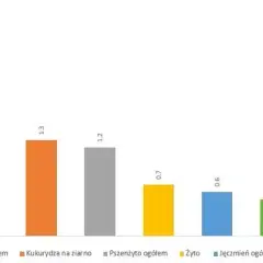 Ile zboża produkuje Polska? Zaskakujące dane o produkcji zbóż