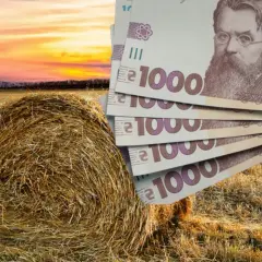 Kto uprawia zboże na Ukrainie? Poznaj największych producentów i rolników
