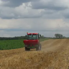Nawóz przed orką czy po – kiedy zastosować, by uniknąć błędów?