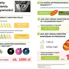 Plan nawozowy: 25% kosztów pszenicy na hektar to ok. 1890 zł. Koszt nawożenia 1 kg mąki to 0,36 zł (6%), a małego bochenka chleba 0,14 zł (1,9%).