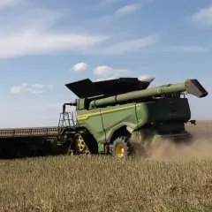 Kiedy kwitną zboża? Sprawdź kluczowe terminy i czynniki wpływające