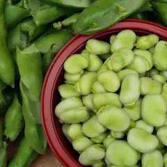Kiedy sezon na bób? Odkryj najlepszy czas na świeże bób i ceny
