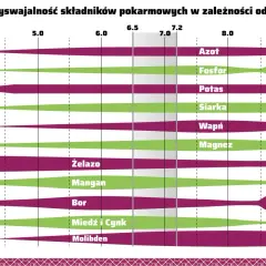 Wykres pokazuje przyswajalność składników pokarmowych w zależności od **ph gleby**. Różne kolory i szerokości pasów wskazują optymalne zakresy dla azotu, fosforu, potasu i innych.