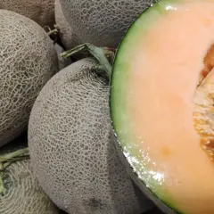 Kiedy sezon na melony? Sprawdź, kiedy są najsmaczniejsze i tańsze