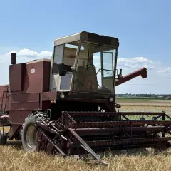 Ile wchodzi zboża do bizona? Zaskakujące fakty o pojemności żołądka