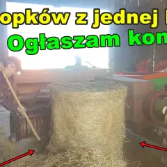 Ile kostek siana jest w balocie? Zaskakujące fakty i różnice