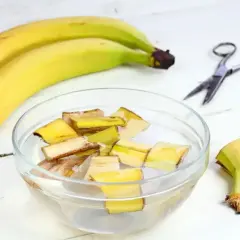 Kawałki skórek bananów moczone w wodzie, przygotowywane jako nawóz z banana. Obok leżą banany i nożyczki.