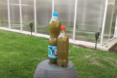 Jaki nawóz pod bób? Odkryj najlepsze metody nawożenia tej rośliny