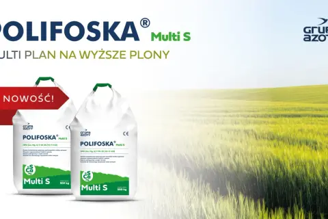 Polifoska 5 skład: dwa worki nawozu Polifoska Multi S na tle zielonego pola. Idealny plan na wyższe plony.