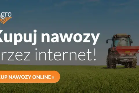 Kiedy stosować nawozy fosforowe i potasowe, aby uniknąć błędów w uprawach