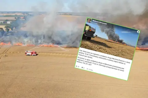 Pożar zboża na pniu – co to znaczy i jak uniknąć tragedii?