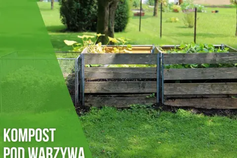 Kiedy kompost pod warzywa? Odkryj najlepsze terminy i korzyści
