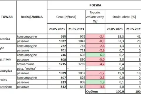 Ile kosztuje metr zboża? Zrozumienie cen i ich zmienności w Polsce