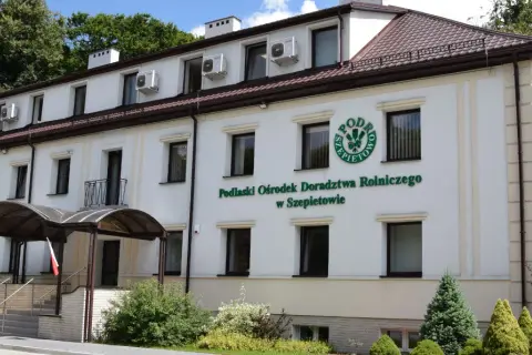 Peluszka ile siać na hektar – uniknij błędów w uprawie