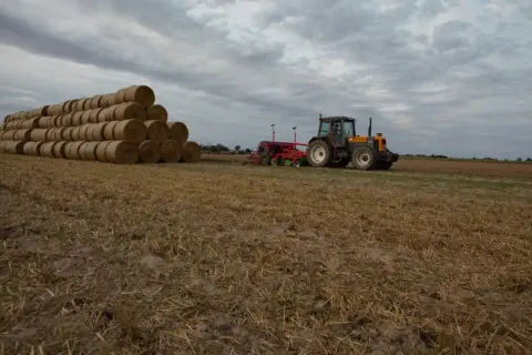 Sąsiek ze słomy piętrzy się na polu, obok pracuje traktor z siewnikiem.