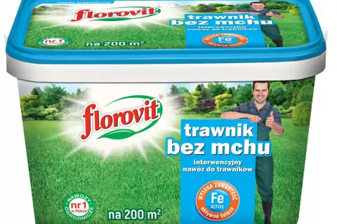 Nawóz antymech kiedy stosować, aby skutecznie zwalczyć mech w trawniku