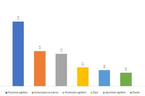 Ile zboża produkuje Polska? Zaskakujące dane o produkcji zbóż