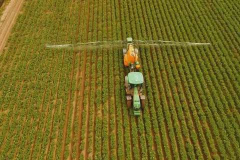 Traktor opryskuje pole roślin. Rolnik zastanawia się, ile siarczanu magnezu na hektar użyć, by uzyskać najlepsze plony.