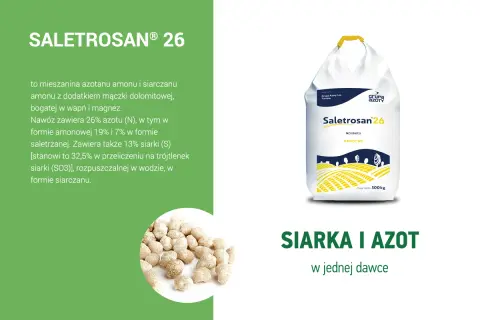Saletrosan 26 - nawóz z siarką i azotem. Torba z nawozem Saletrosan 26 i granulki nawozu.