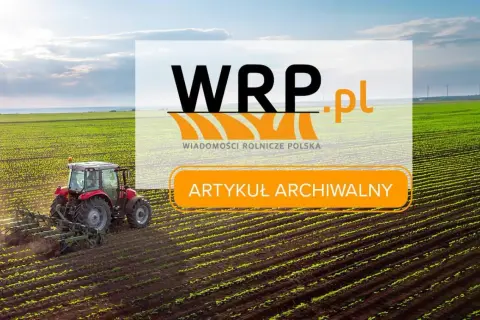 Czerwony traktor orze pole, zostawiając za sobą ślady jak po kredzie. W tle logo WRP.pl i napis "Artykuł archiwalny".