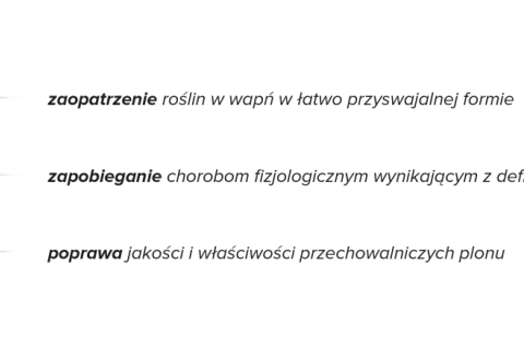 Wapń w łatwo przyswajalnej formie dla roślin. Wapnovit zapobiega chorobom i poprawia jakość plonów.