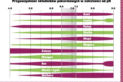 Wykres pokazuje przyswajalność składników pokarmowych w zależności od **ph gleby**. Różne kolory i szerokości pasów wskazują optymalne zakresy dla azotu, fosforu, potasu i innych.