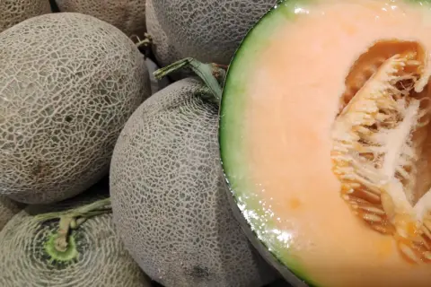 Kiedy sezon na melony? Sprawdź, kiedy są najsmaczniejsze i tańsze