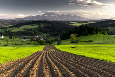 uprawa ziemi