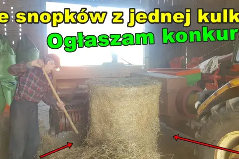 Ile kostek siana jest w balocie? Zaskakujące fakty i różnice