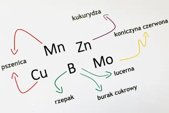 Schemat przedstawia zależności między roślinami (pszenica, kukurydza, rzepak, lucerna, burak cukrowy, koniczyna czerwona) a pierwiastkami (Cu, Mn, Zn, B, Mo), ilustrując ich rolę jako makro i mikroelementy.