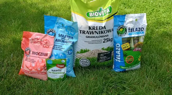 Różne nawozy do trawników i roślin: mocznik, saletra amonowa, kreda granulowana, nawóz z żelazem. Jaki nawóz na trawę wybrać?
