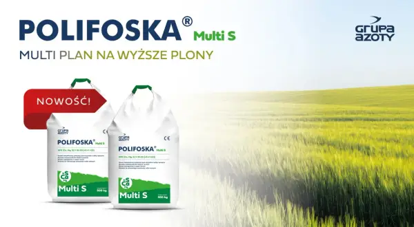 Polifoska 5 skład: dwa worki nawozu Polifoska Multi S na tle zielonego pola. Idealny plan na wyższe plony.