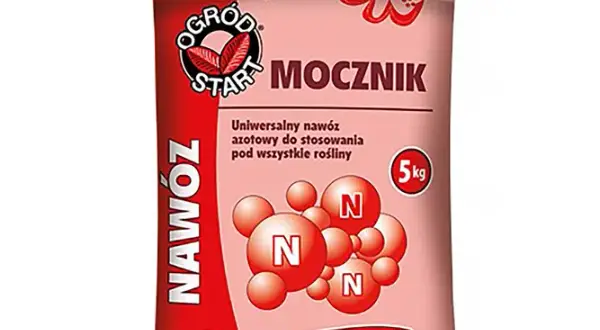 Jakie nawozy pod kapustę - skuteczne metody na zdrowe plony