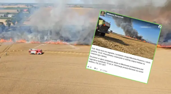Pożar zboża na pniu – co to znaczy i jak uniknąć tragedii?