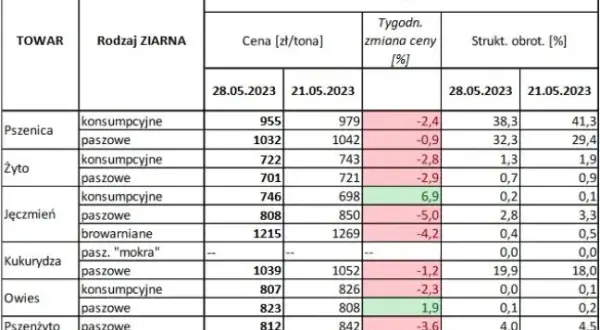 Ile kosztuje metr zboża? Zrozumienie cen i ich zmienności w Polsce