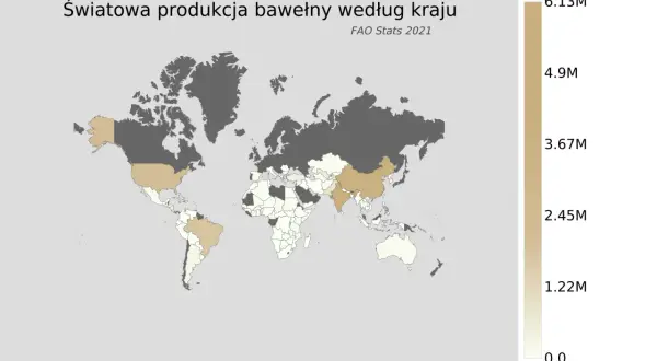 Gdzie uprawia się bawełnę? Odkryj najlepsze regiony i warunki uprawy