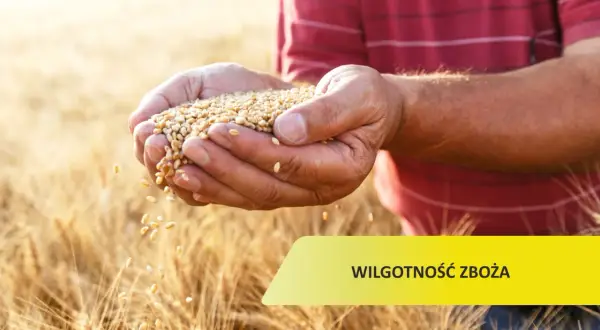 Jaka powinna być wilgotność zboża, aby uniknąć strat jakości?
