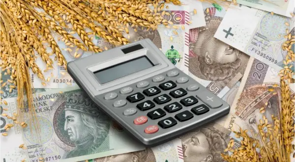 Ile wynosi dopłata do 1 ha zboża i jak uniknąć strat finansowych